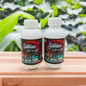Satnam Art & Craft Clear Epoxy Resin